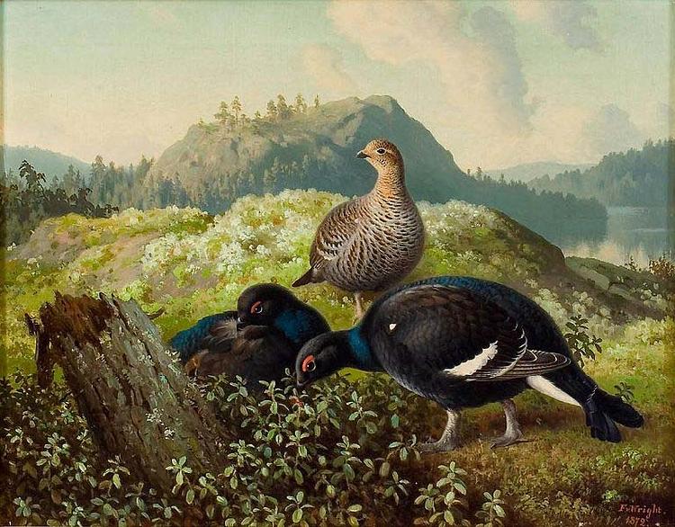 Ferdinand von Wright Black Grouses Germany oil painting art